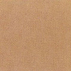 Thompson Enamels for Float - Opaque - Coffee Brown - 224g