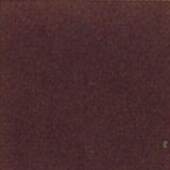 Thompson Enamels for Float - Opaque - Dark Brown - 224g