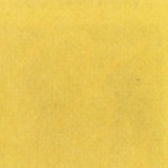 Thompson Enamels for Float - Opaque - Golden Glow Yellow - 56g