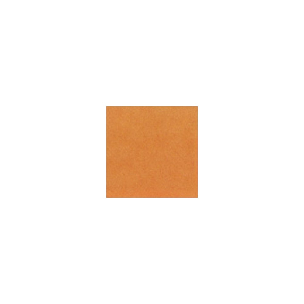 Thompson Enamels for Float - Opaque - Orange - 56g
