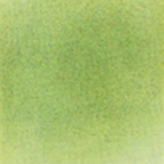 Thompson Enamels for Float - Transparent - Meadow Green - 56g