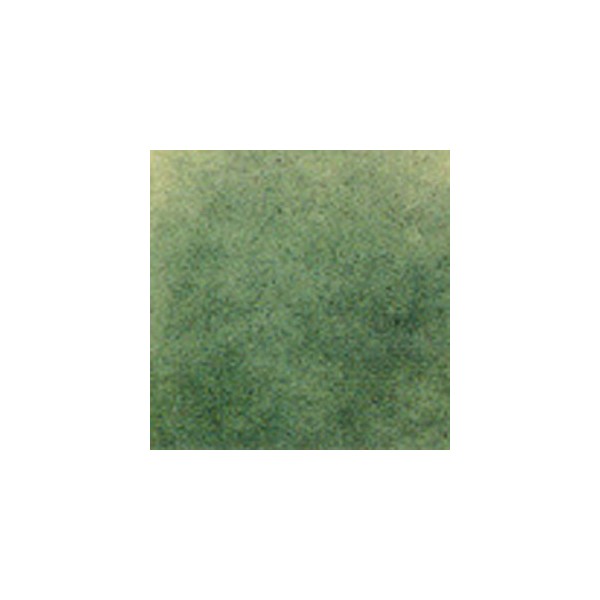 Thompson Enamels for Float - Transparent - Cactus Green - 224g
