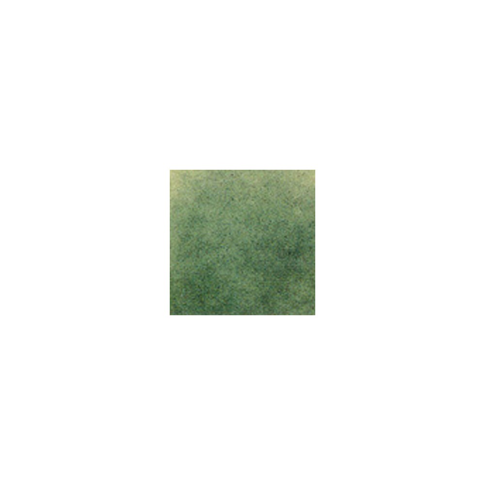Thompson Enamels for Float - Transparent - Cactus Green - 224g