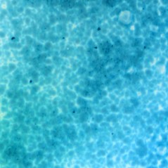 Frit - Aquamarine - Powder - 1kg - for Float Glass