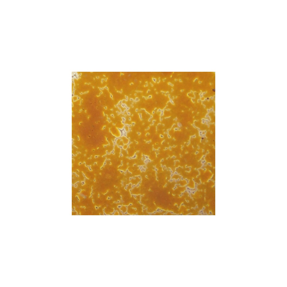Frit - Amber - Powder - 1kg - for Float Glass