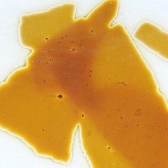 Confetti - Amber - 400g - for Float Glass