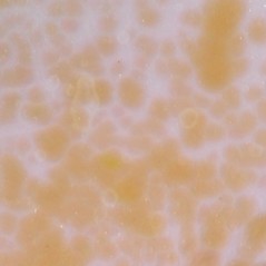 Frit - Peach - Fine - 1kg - for Float Glass