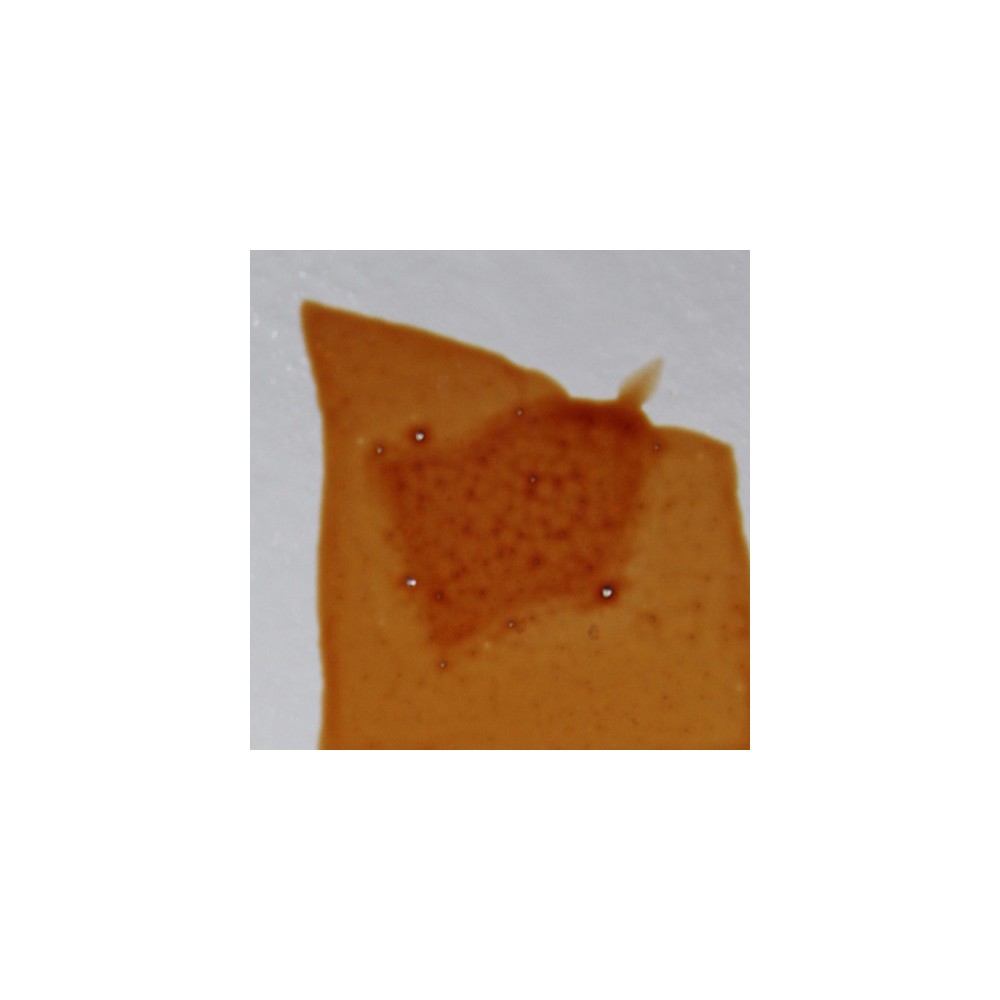 Confetti - Dark Red - 400g - for Float Glass