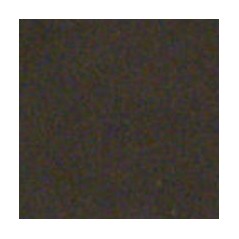 Colourmaster - Contour Colour - Black - 50g
