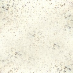 Barrelbrite Polishing Powder - 100 g