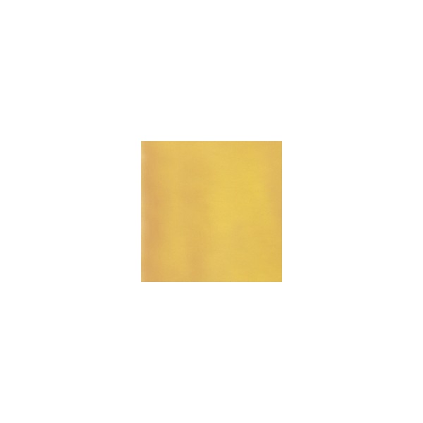 Debitus - Silver Stain - 20% Silver Chloride - 100g