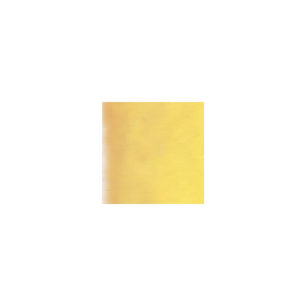 Debitus - Silver Stain - 10% Silver Chloride - 100g