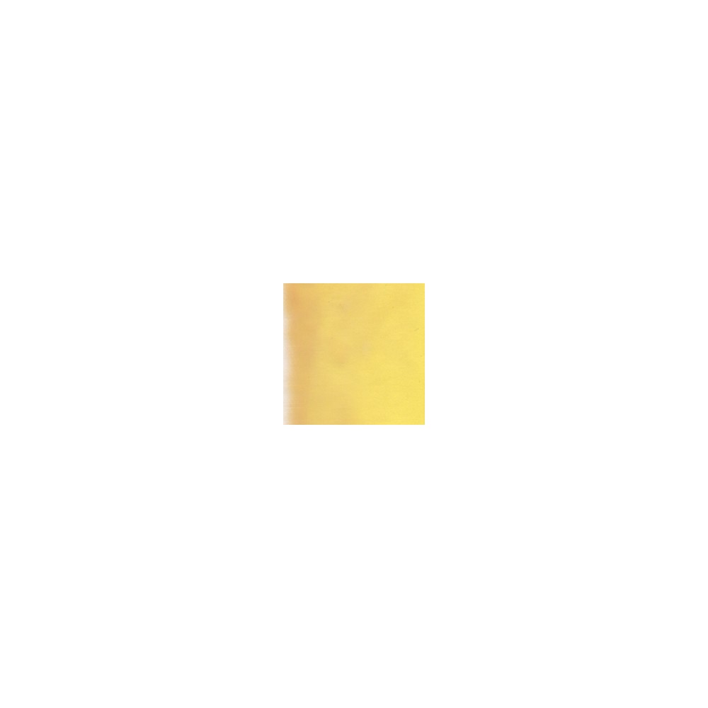 Debitus - Silver Stain - 10% Silver Chloride - 100g