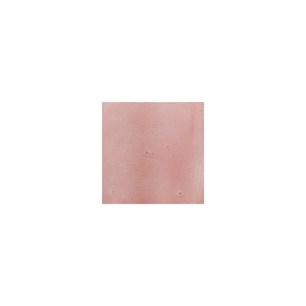 Debitus - Grisailles - Red - N°4 - 100g