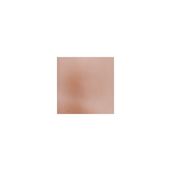 Debitus - Grisailles - Sanguine - 100g