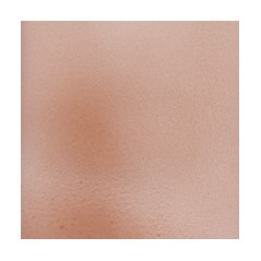 Debitus - Grisailles - Sanguine - 100g